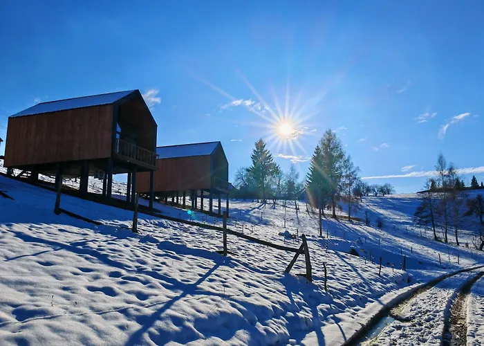 Suspended Tiny House