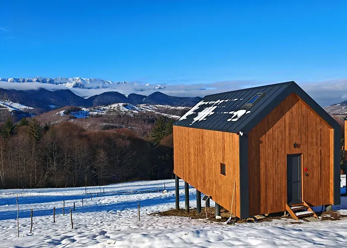 Suspended Tiny House
