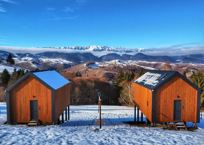Suspended Tiny House