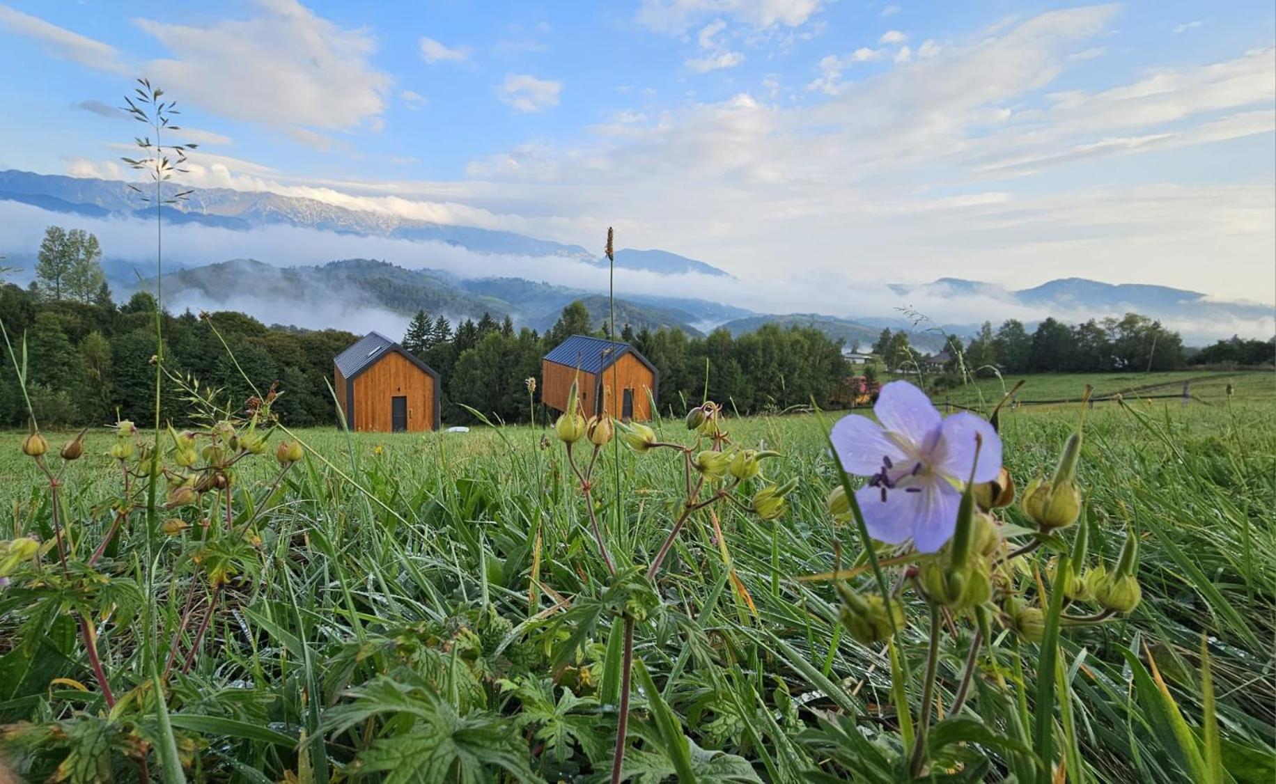 Holiday home Suspended Tiny House *