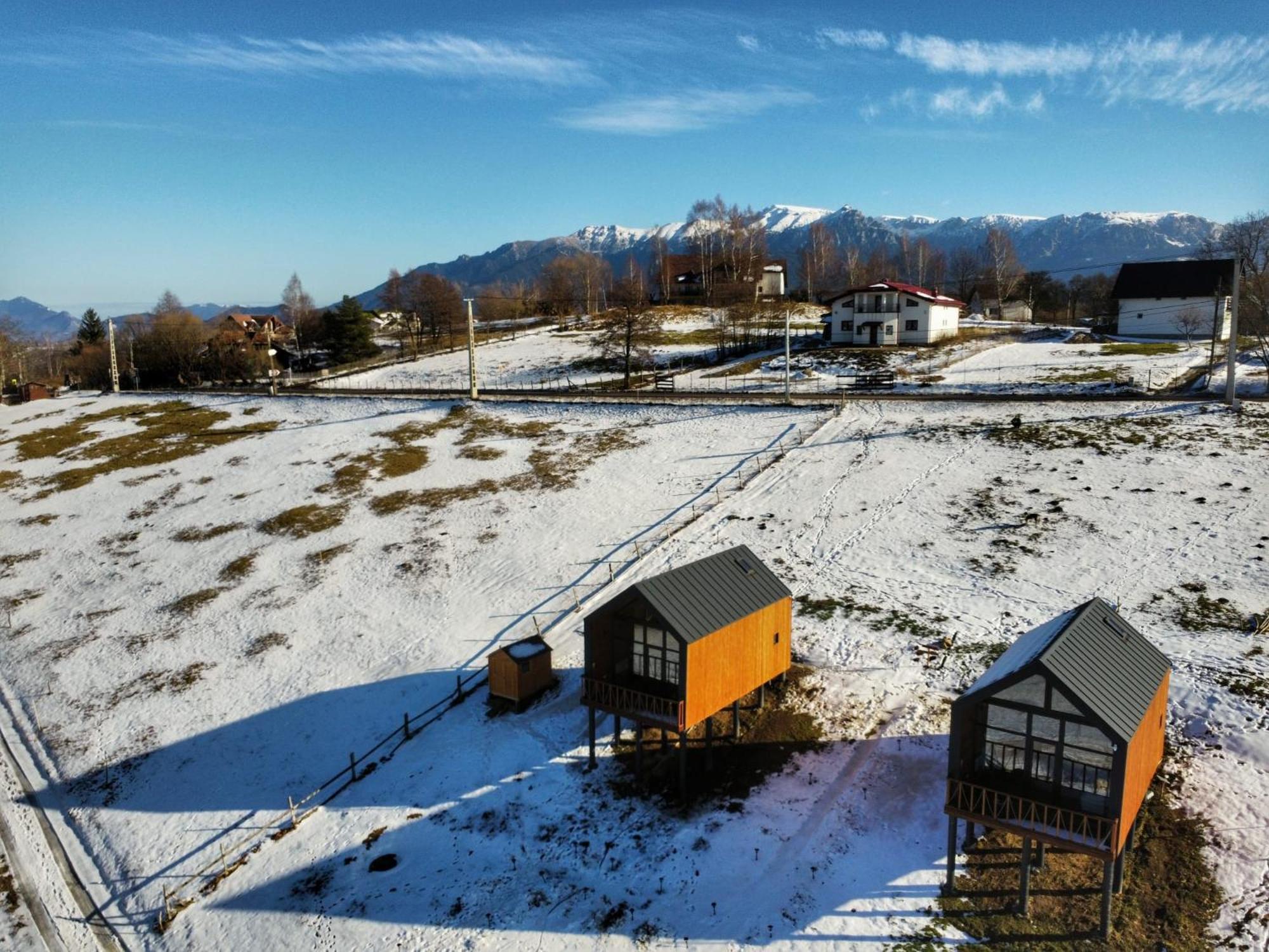 Suspended Tiny House * Drumu Carului