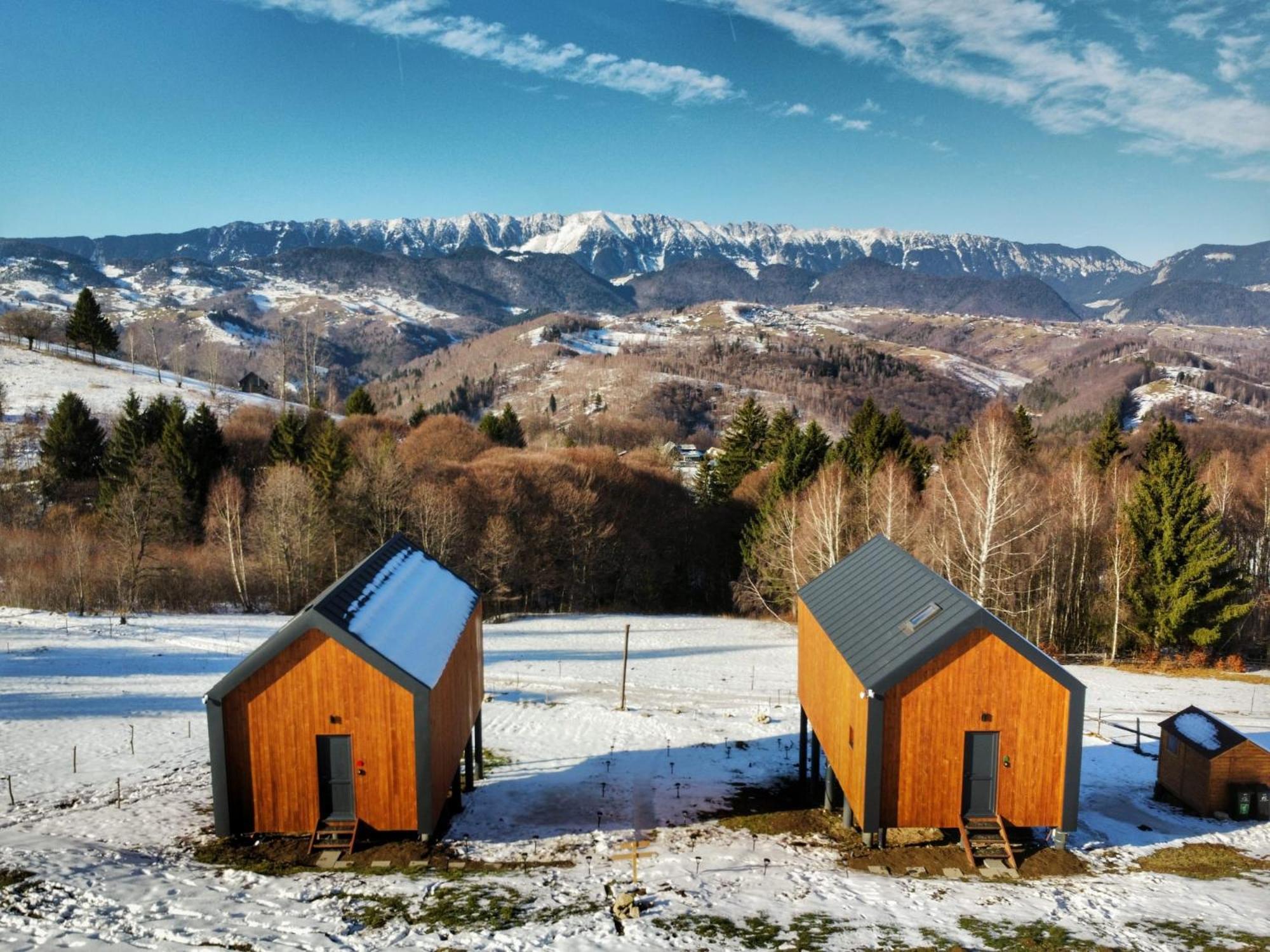 Suspended Tiny House