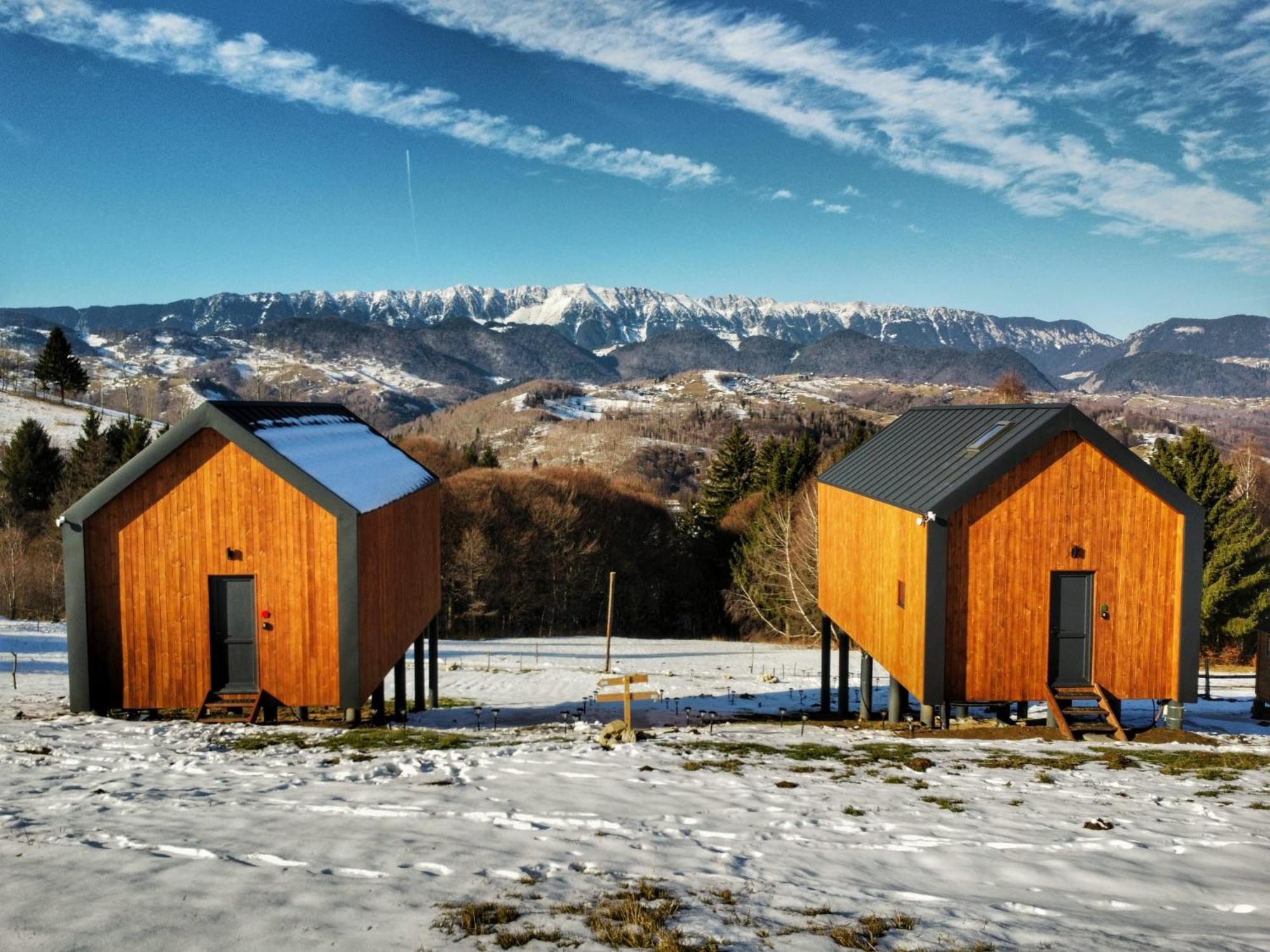 Suspended Tiny House *