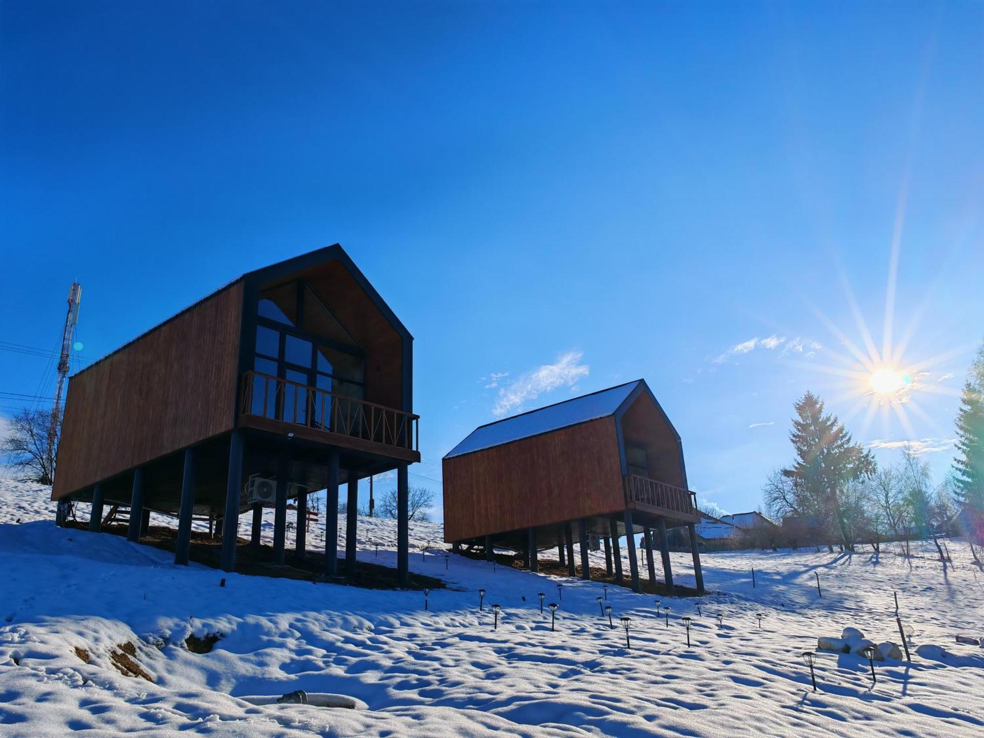 Suspended Tiny House